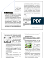 Trabajo 2° Año Enfermeria Atsa