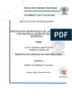 Tesis de lechuga Con y sin resirculación de la sustancia nutritiva.pdf