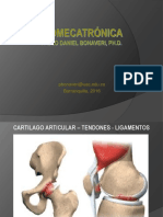 05 Cartilago Articular Tendones y Ligamentos