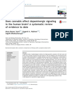 Does cannabis affect dopaminergic signaling in the human brain.pdf