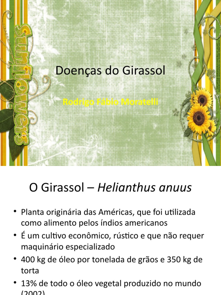 Doenças do girassol: identificação e controle | PDF | Cereais | Germinação
