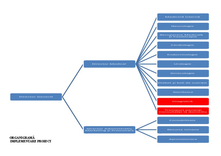 Organigrama Implementare Proiect | PDF