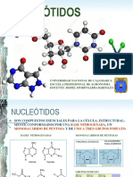 Sintesis de Proteinas PDF