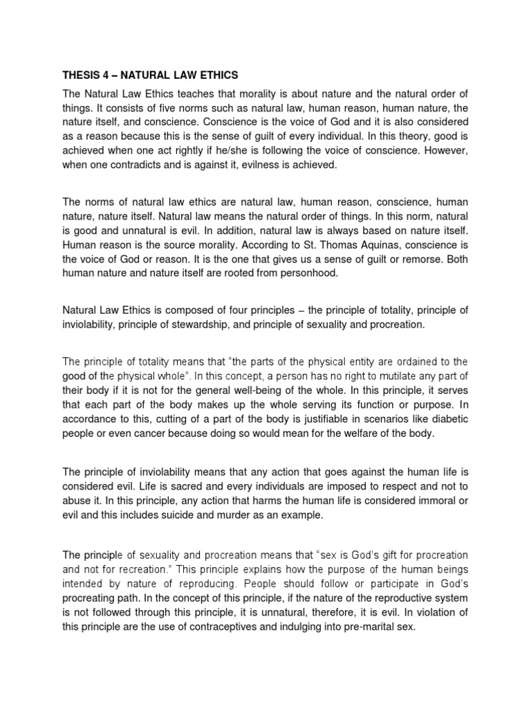 3 point thesis statement template image