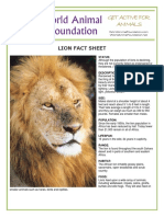 lion.pdf
