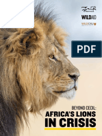 Lion Report