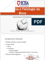 anatomiadental-130809100744-phpapp01.pptx