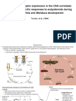 Bio 590 Ecdysone Presentation 5 7 17