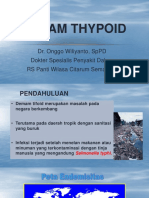 Demam Thypoid