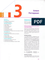 Bab 13.sistem Pernapasan PDF