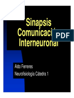 ferreres_teorico_4_nf_sinapsis_2014.pdf