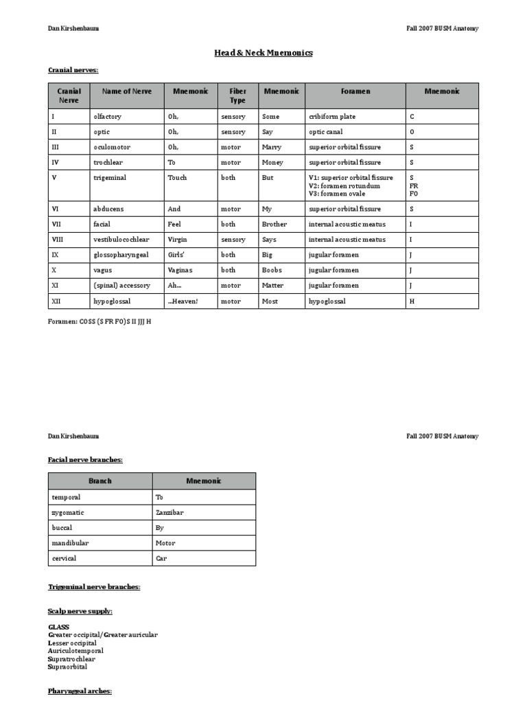 Anatomy Mnemonics Head Neck PDF PDF Human Anatomy Human Head And Neck