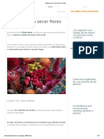 Métodos Para Secar Flores _ Plantas
