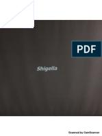 Shigella