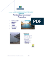 40515840-Modelos-de-Proyectos-Acuicultura.pdf