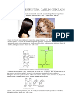 (340451764) Estructura Pelo