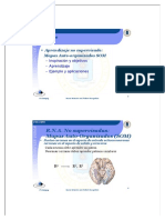 5rnyrp Som PDF