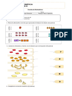 Prueba Matematicas Primero Numeracion