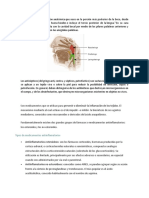 Conceptos Farmacia.docx