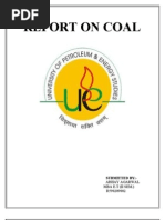 Final Coal Report