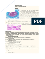 Sistema Cardiovascular