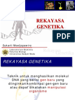 17-REKAYASA-GENETIKA 4shared 1 PDF