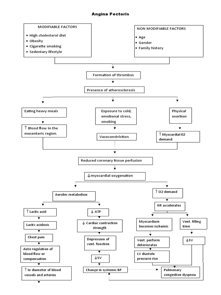 Pathophysiology of Angina Pectoris | PDF | Heart | Medical Specialties