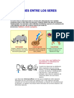 Relaciones entre seres vivos: intra e interespecíficas