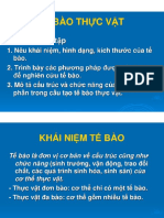 Tế bào Thực vật