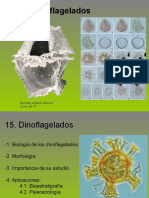 Dinoflagelados
