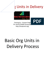 20 Basic Org Units in Delivery Process