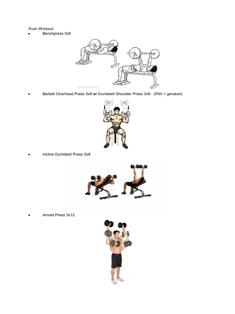 Push Workout | PDF