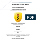 Proceso de Atencion de Enfermería Paciente en DP - CNSR
