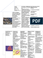 Bacterias Cuadro S