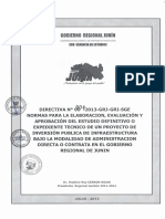 004_directiva_general_2013 GRJ.pdf