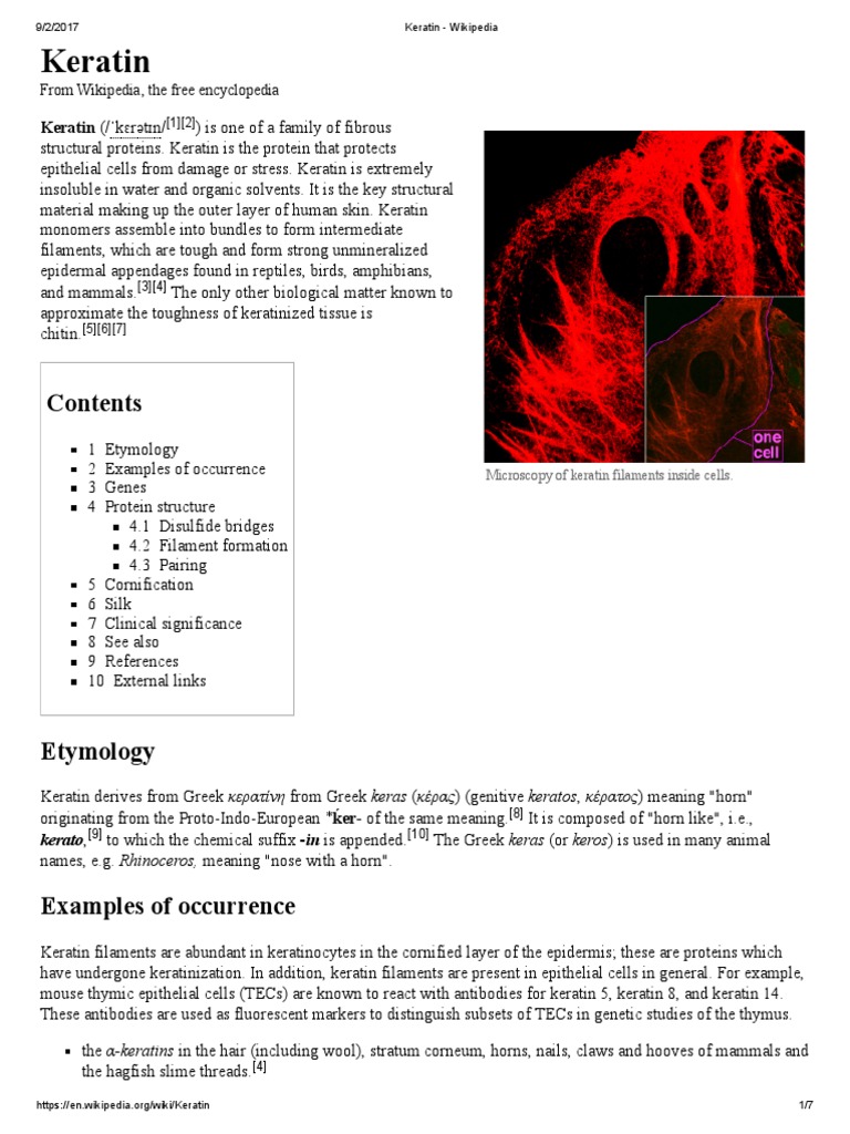 Keratin: From Wikipedia, The Free Encyclopedia | Download Free PDF ...