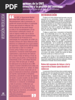 Peligros Del Tabaquismo en El Embarazo