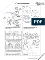 u5 Factcard Cast-macmillan-natural-and-social-science-2