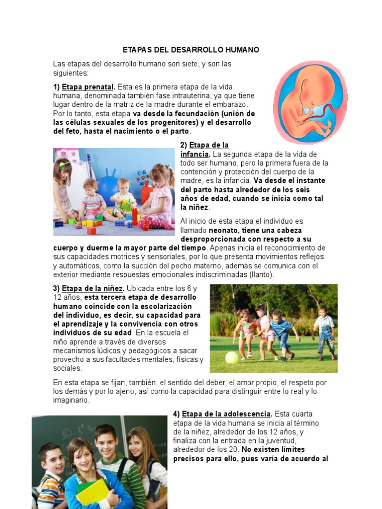 Siete etapas del desarrollo humano | PDF | Adultos | Vejez