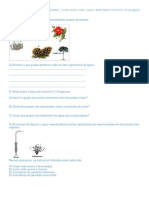 Agosto Ciencias Reino Plantae