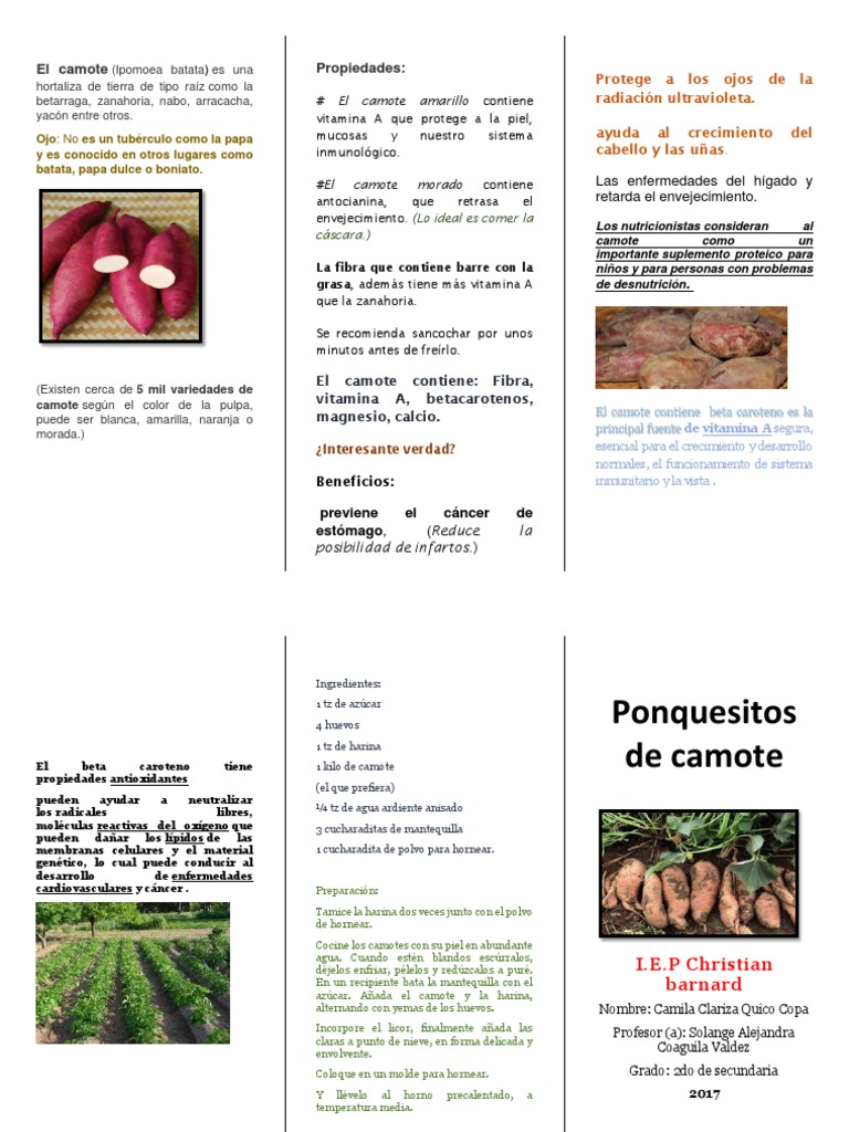 El Camote | PDF | Batata | Vitamina a