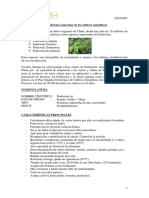 35427865-paulownia.pdf