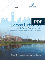 Guia de Aprendizaje LAGOS URBANOS Final