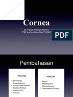 Cornea - Dr. Ihsan Ardinel Abdinni