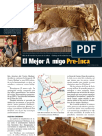 momias caninas.pdf