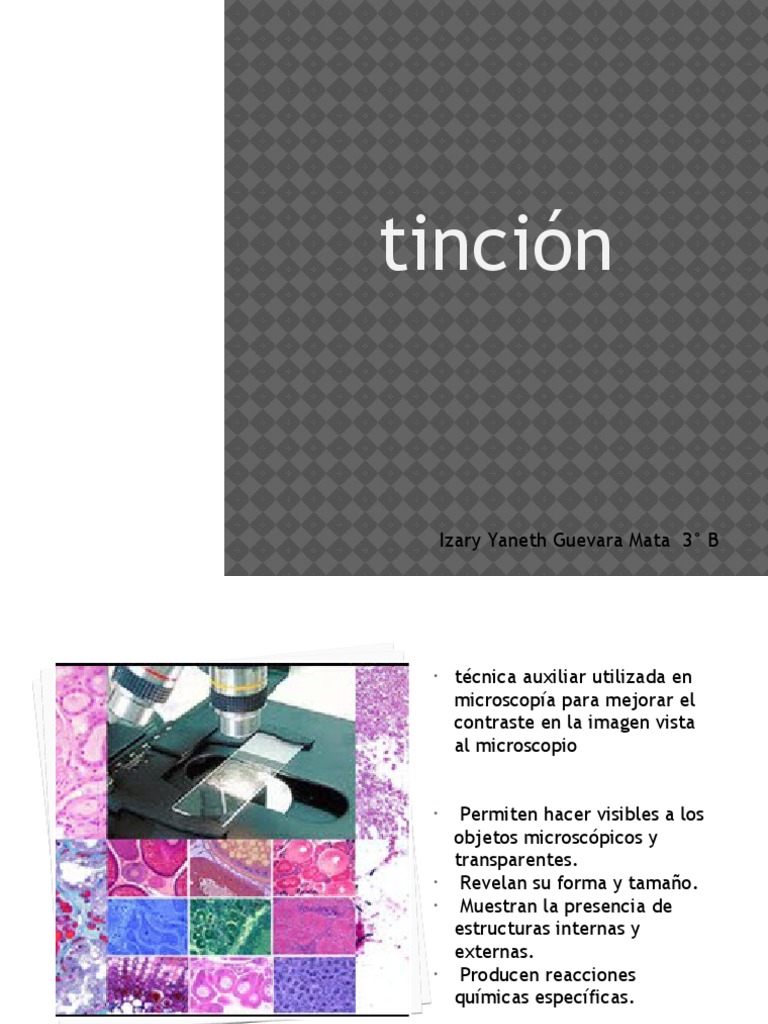 fundamentos tincion
