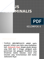 Thypus Abdominalis