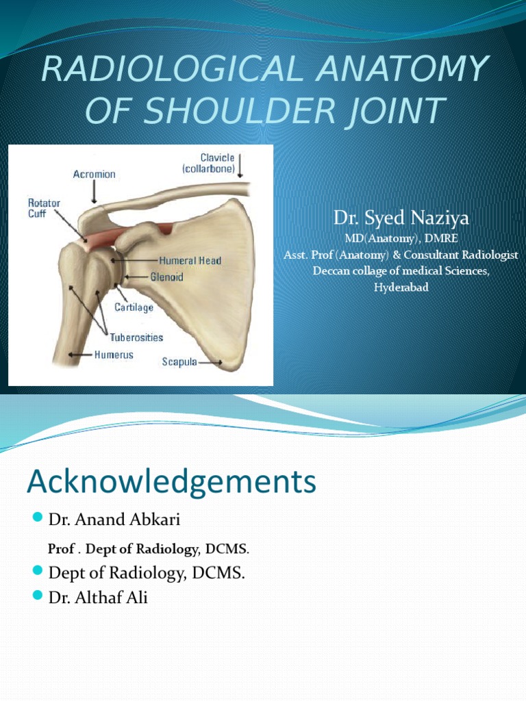 Radioanatomy of Shoulder Joint-Dr - Naziya | PDF | Shoulder | Human Anatomy