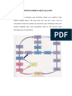 Sistem Kardiovaskular Janin-pr