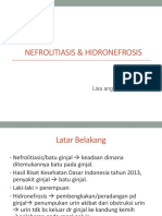 Hidronefrosis & Nefrolitiasis